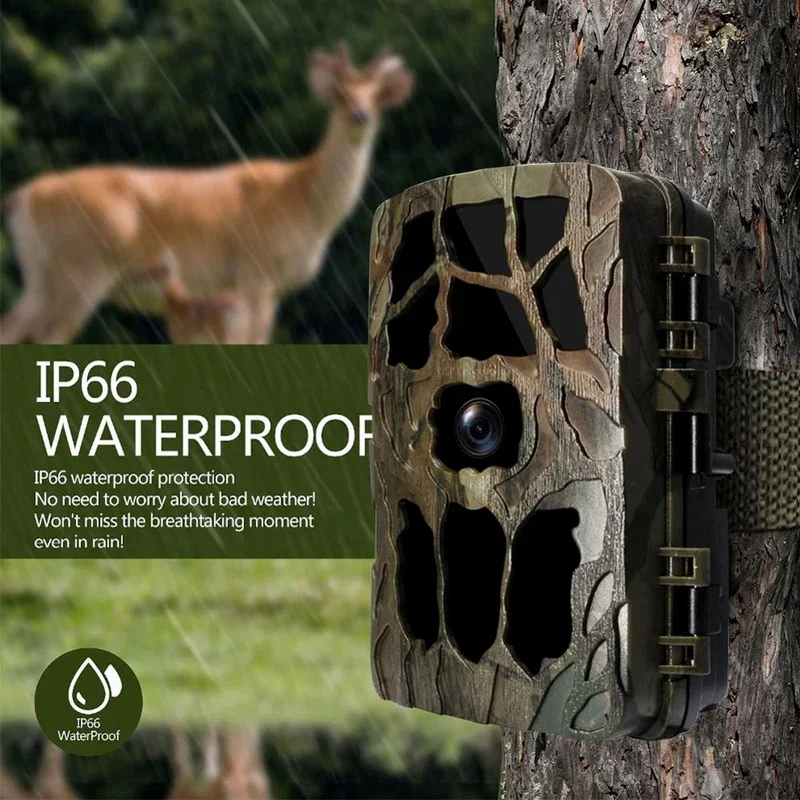 Outdoor Hunting Video Camera - H982 IP66 مقاوم للماء 4K الأشعة