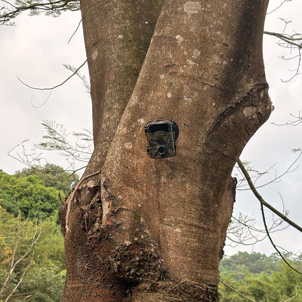 كاميرا تعقب للصيد بدقة 16 ميجا - مراجعة Outdoor Hunting Video Camera وسعره