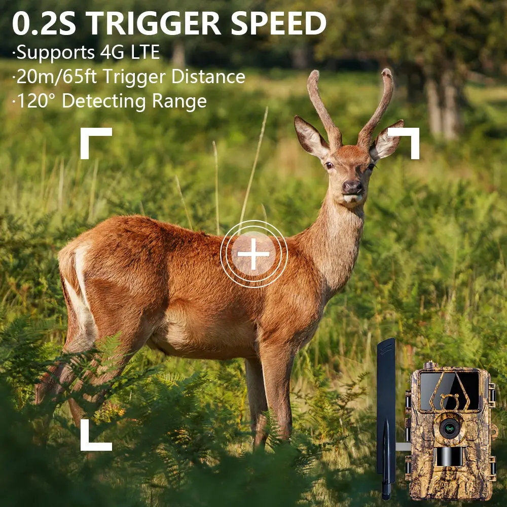 1 قطعة HD8K كاميرا تعمل بالأشع - مراجعة Outdoor Hunting Video Camera وسعره