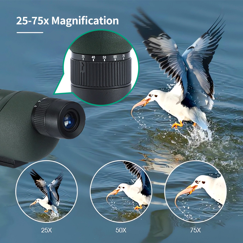 تكبير منظار اكتشاف عالي الطاقة - مراجعة Hunting Outdoor Watch وسعره