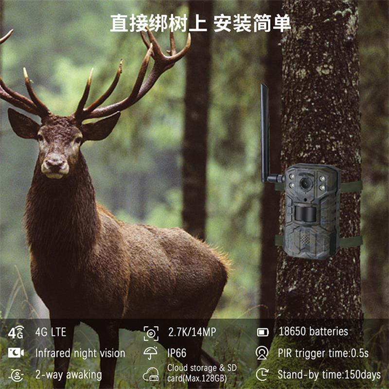 كاميرا صيد تعمل بالطاقة الشمسي - مراجعة Outdoor Hunting Video Camera وسعره